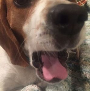 Meet your Posher, Judy